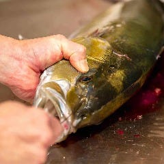 店内の生簀にいるその日の活魚を毎日神経〆して提供!