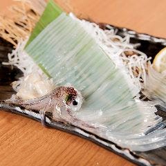 居酒屋 美々（びび）