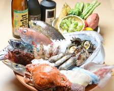 博多の地魚・旬の貝料理