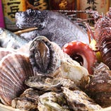 長浜市場より仕入れる新鮮魚貝達