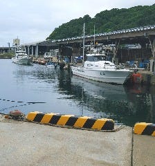 れいちゃん_釣り船