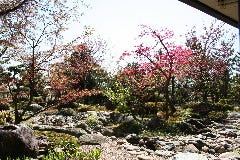 割烹 長吉