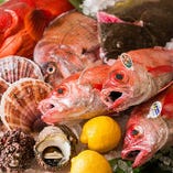 全国各地の漁場よりこだわりの旬の魚介を入荷。徳島の漁師と直接取引して仕入れる「のどくろ」も。
