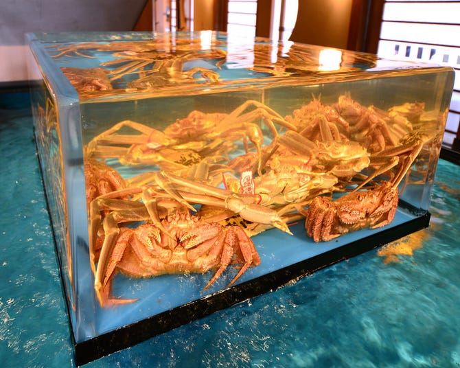 かに料理 浜松甲羅 本店 幸 住吉 上島周辺 日本料理 ぐるなび