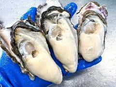 【宮城の鳴瀬産】直送！ちちこい牡蠣