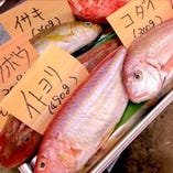 直送の新鮮な魚介！【沼津港】