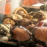 刺身・浜焼き・ガンガン蒸など、多彩な調理法で貝を堪能