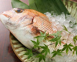 千葉県産の天然鮮魚を
使用しております。