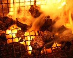 炭火焼鳥専門店 播鳥 市ヶ谷店