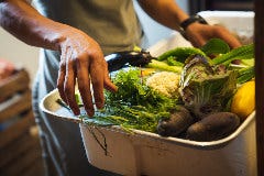 その日に収穫された自家製野菜、まさにファームトゥーテーブル