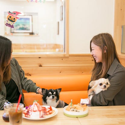 人気店が見つかる 神戸市西区のカフェでおすすめしたい人気のお店 ぐるなび