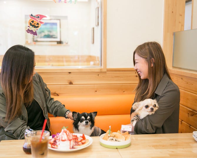 Cafe Dining Akala カフェアンドダイニングアカラ 神戸市西区 カフェ ぐるなび