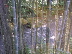 魚竹別館 牡丹