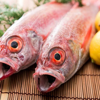 旬菜ダイニング 魚や藤海  メニューの画像