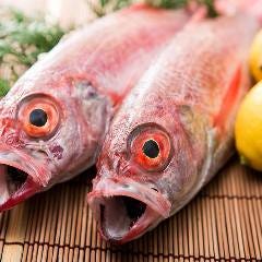 旬菜ダイニング 魚や藤海 自慢の食材 島根県産 のどぐろ どんちっちブランドのどぐろ ぐるなび