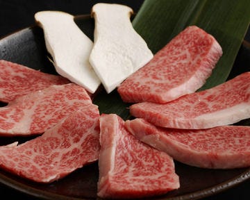 Kajoen Aikou Ishida Isehara Yakiniku q Gurunavi Restaurant Guide