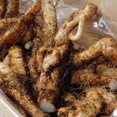 裏神田 自然生村