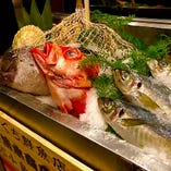 瀬戸内鮮魚！鮮度抜群！！ぜひ、自慢の鮮魚をご賞味下さい♪