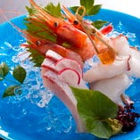【越前漁港直送鮮魚】自慢の食材　「夕方〆鮮魚のお刺身盛り合わせ」