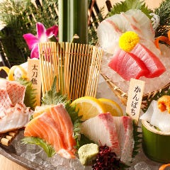 旬魚菜 磯一 新大阪店