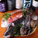豊洲市場より新鮮な魚を毎日直送!!