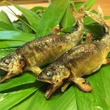 本日の焼き魚