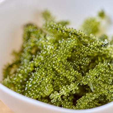 焼肉本舗 島牛_海ぶどう