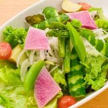 季節野菜の彩りサラダ