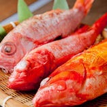 明石の昼網活鮮魚など新鮮魚介をご用意