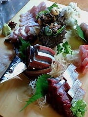 さしみの魚紳