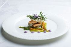 季節の特別ディナーコース