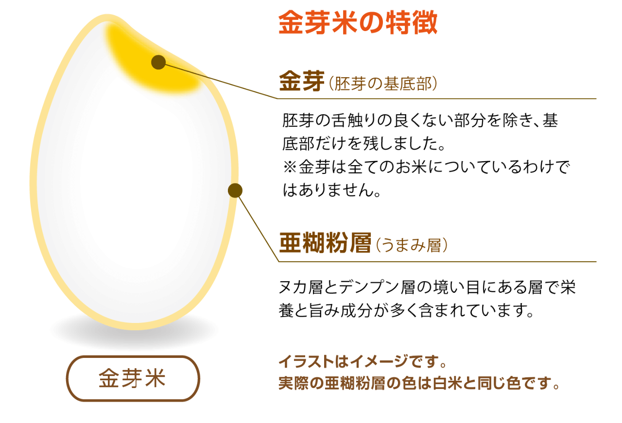与太郎 自慢の食材 当店では 金芽米を使用しています ぐるなび 与太郎 自慢の食材 当店では 金芽米を使用しています ぐるなび