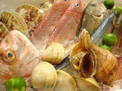 居酒屋 まじゅん 