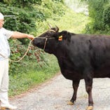 牛にストレスを与えない環境と、自然の恵みをたっぷり含んだ飼料で、生後36ヶ月まで肥育しております。