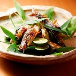 昼の特別コース