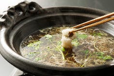 昼の特別コース