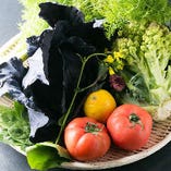朝露滴る♪鈴鹿市にある契約農家様から新鮮な野菜が毎朝届きます