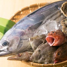 鮮度が命！三河湾の新鮮魚介をご提供