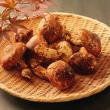 【松茸プレミアムプラン&times;料理長の特別献立】松茸づくし特別懐石 55,000円