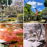 四季折々の風情漂う
日本庭園