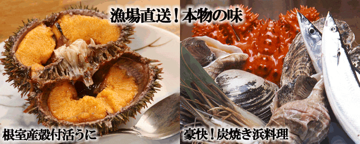 海鮮炉端 根室 浜一番