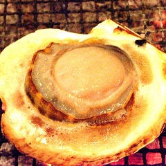 海鮮炉端 根室 浜一番 札幌駅 居酒屋 ぐるなび