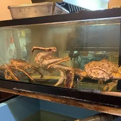 お祝いの席を彩る特別なおもてなし