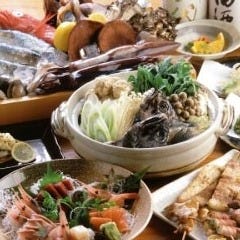 月夜のたぬき