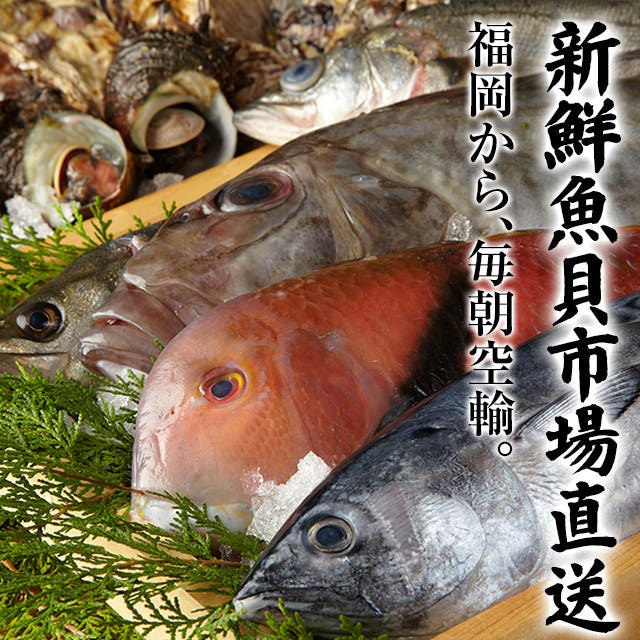 毎朝届く、九州直送の魚貝たち！鮮度が違います！！
