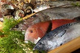 九州より新鮮な魚介を毎日仕入れています！鮮度抜群♪