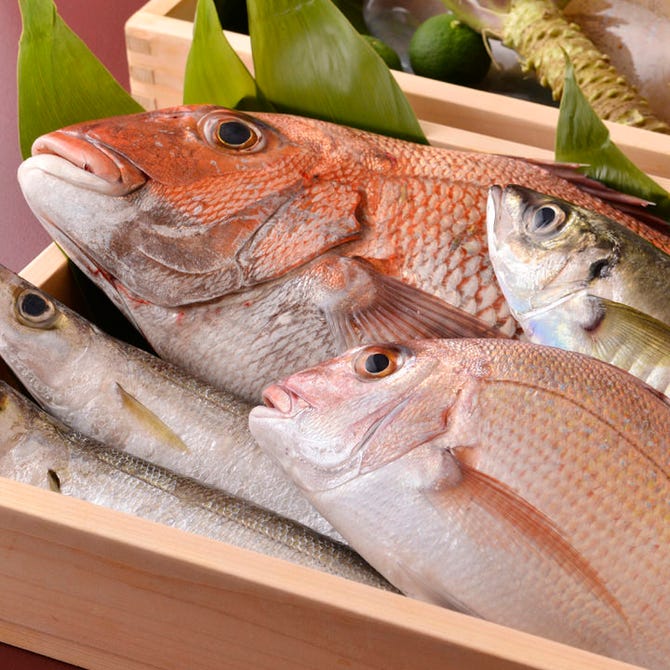 たい家 赤坂 ふぐ ふぐ料理 ぐるなび