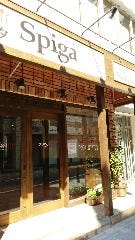 スピガ 松戸店