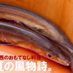夏季の旬を何処よりも贅沢に！ さらにお安く♪