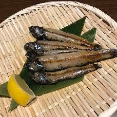個室居酒屋 宴会 絶巓 Zetten 豊田店 メニュー 鮮魚 原始焼き ぐるなび